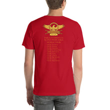 Load image into Gallery viewer, Scipio Africanus World Tour Second Punic War Short-Sleeve Double Sided Print Unisex T-Shirt