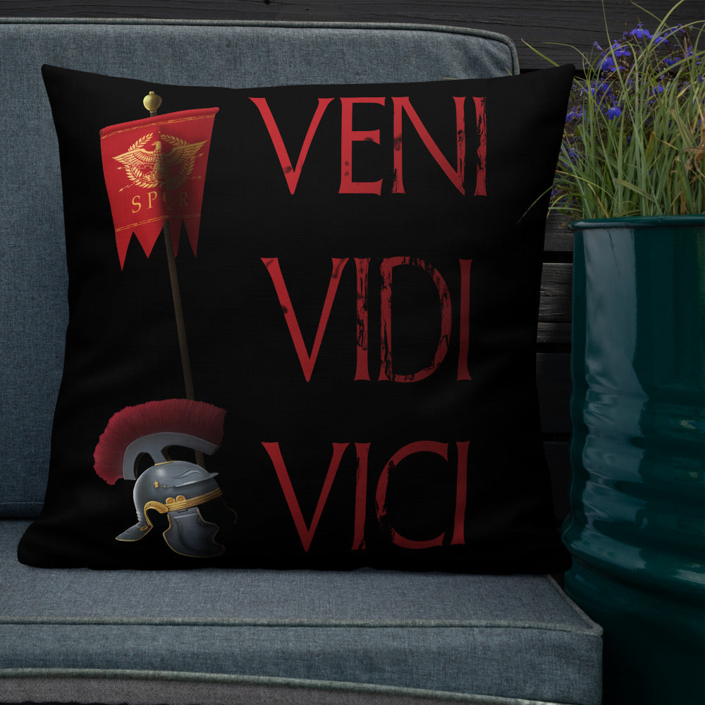 Veni Vidi Vici