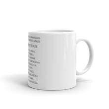 Load image into Gallery viewer, Scipio Africanus World Tour Second Punic War Coffee Mug