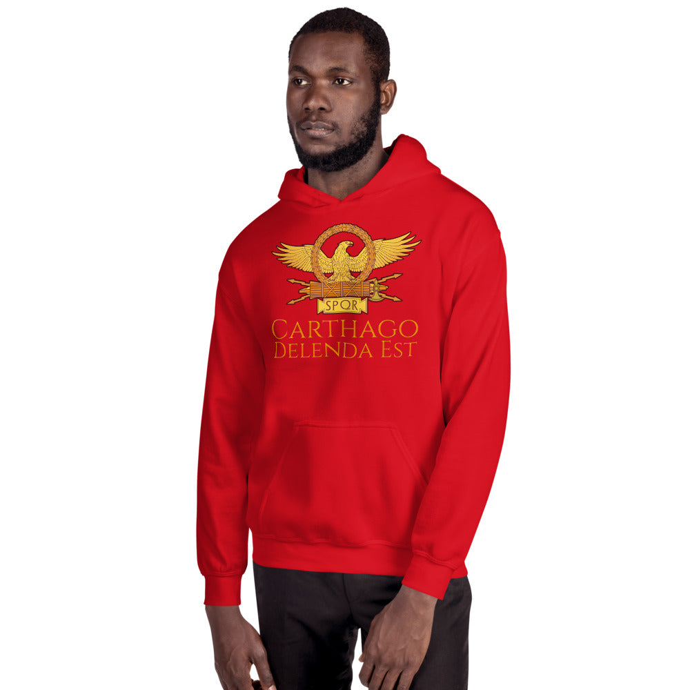 Ancient Rome Punic Wars hoodie