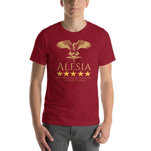 Julius Caesar - Alesia - Would Visit Again - Ancient Roman History Meme Unisex T-Shirt