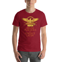 Load image into Gallery viewer, Mane Placidus Et Gnosce Latin - Keep Calm And Know Latin - Classical Latin - Unisex T-Shirt