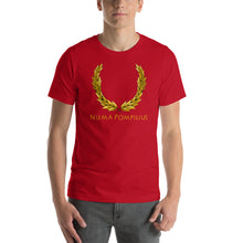 Load image into Gallery viewer, Ancient Roman mythology tee shirt