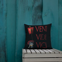 Load image into Gallery viewer, Gaius Julius Caesar Veni Vidi Vici Premium Pillow
